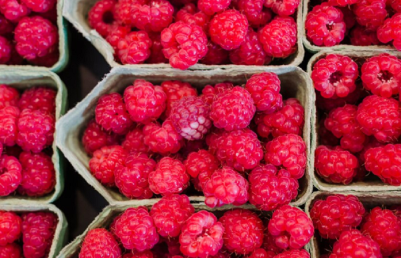 Файл:2025-07-09 12-35-17.png