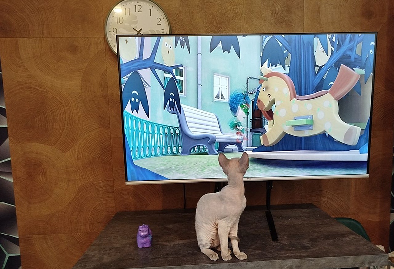 Файл:Фото МТС (9).jpg