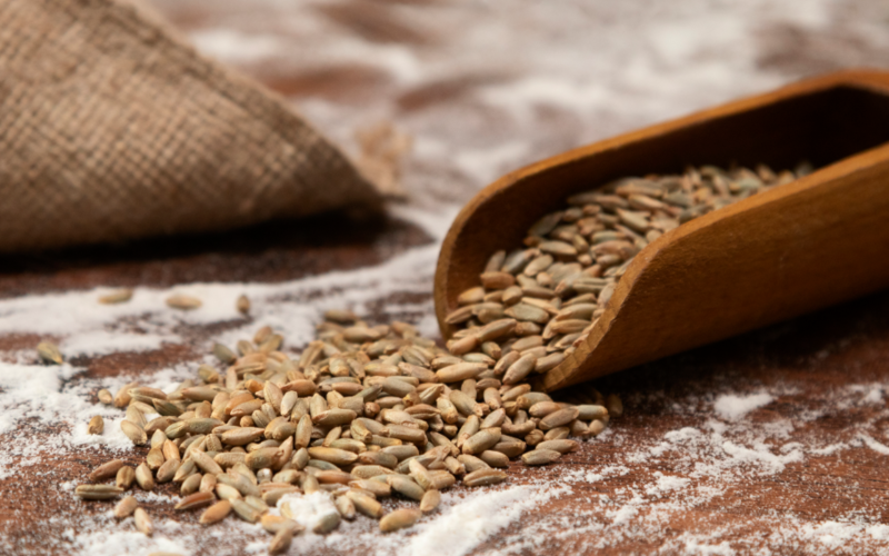 Файл:2025-08-06 17-03-36.png