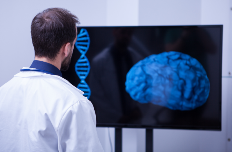 Файл:2025-08-15 12-52-22.png