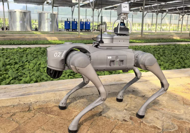 Файл:2025-07-30 16-22-15.png